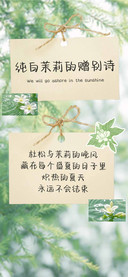 纯白茉莉的赠别诗