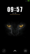黑白控（猫）