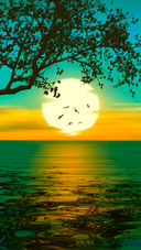 lingering light of the setting sun-06