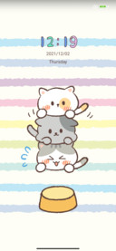 Love fold cat