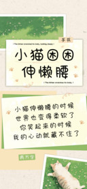 小猫困困伸懒腰