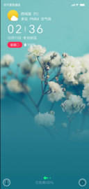 花期