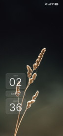 Lavender Calm