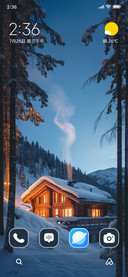 Snowy Home