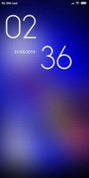 Cher_DWM19
