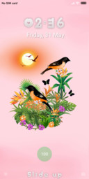 Birds_DWM19