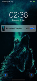 Ios dual v11