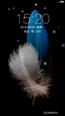羽毛