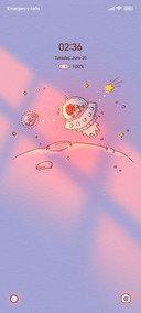 Rose and stars