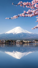 Scenery    (10)