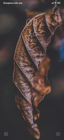 Ala