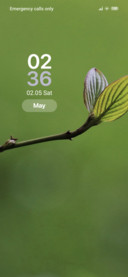 Leaf