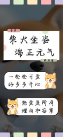 柴犬坐姿端正元气