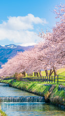 Scenery (4)