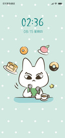 表白猫