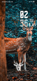 StaryDeer