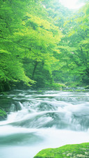 A waterfall in kumamoto prefecture japan