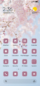 Cherry blossom