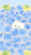 可爱的精灵猫咪-锐景创意