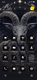 Capricorn