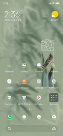 Ancient Bamboo
