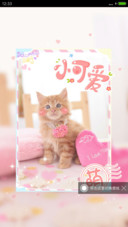 快乐小萌猫2