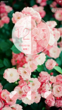 花季