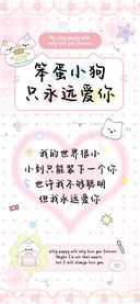 笨蛋小狗只永远爱你