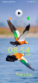Independence_3
