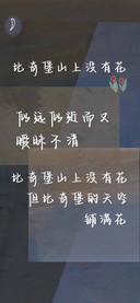 比奇堡山上没有花