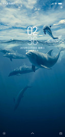 海豚