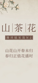 腾祥铭宋简W2