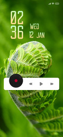 Leaf