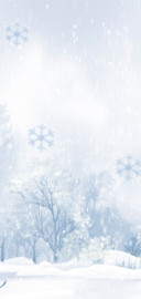 飘雪