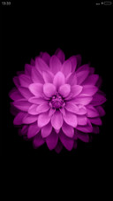 WP花