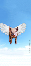 猪年空降小飞猪