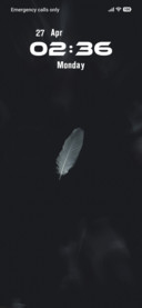 Feather
