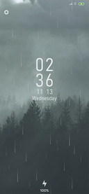 森林之雨