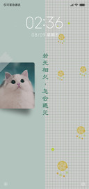 清新小猫咪吖