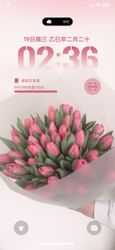 简约粉色郁金香