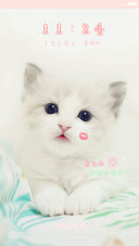 萌猫来袭