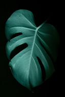 anne-nygard-wgggZIP_voA-unsplash