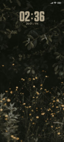 Shift Lens