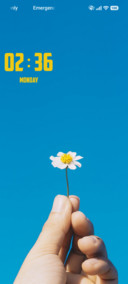 Sky Blossom