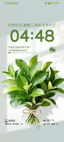 柚子叶壁纸