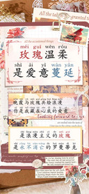 玫瑰温柔是爱意蔓延