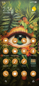 Jungle Eye