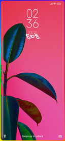 Plant Scott