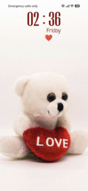 Teddy Bear