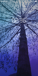 looking up_DWM2